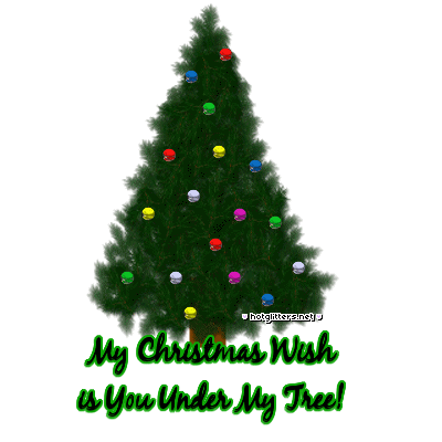 You Under My Tree picture