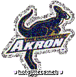 Akron Zips picture