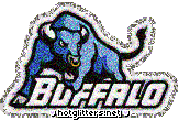 Buffalo Bears