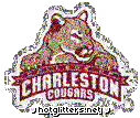 Charleston Cougars picture