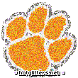 Clemson Tigers picture