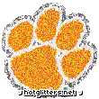 Clemson Tigers