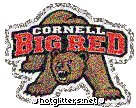 Cornell Big Red picture