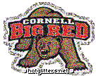Cornell Big Red