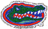 Florida Gators picture