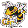 Georgia Tech Yellowjackets