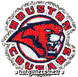 Houston Cougars picture