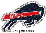 Howard Bison picture