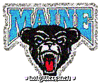 Maine Black Bears picture