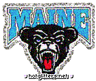 Maine Black Bears