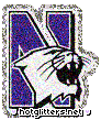 Northwestern Wildcats
