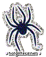 Richmond Spiders
