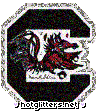 South Carolina Gamecocks