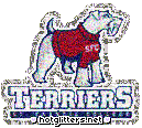 St Francis Terriers
