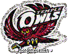 Temple Owls picture