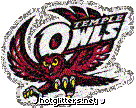 Temple Owls