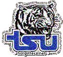 Tennessee State Tigers picture