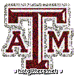 Texas Am Aggies picture