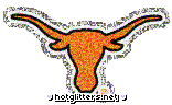 Texas Longhorns picture