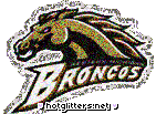 Western Michigan Broncos