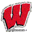 Wisconsin Badgers picture