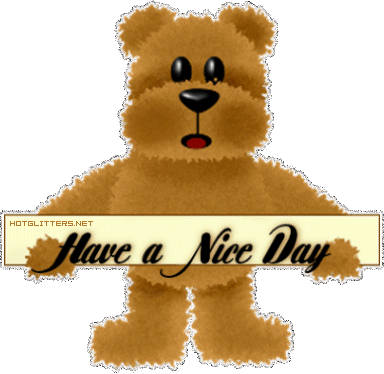 Nice Day Bear picture