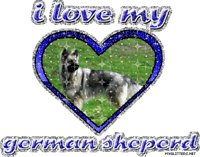 German Sheperd
