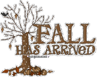 Fall Tree No Leaves