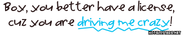 License To Drive Crazy