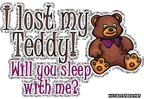 Lost Teddy picture