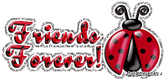 Friendship Ladybug