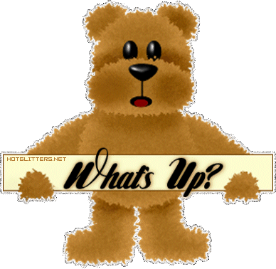 Whats Up Bear