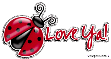 Love Ya Ladybug picture