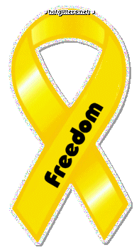 Freedom Yellow Ribbon picture