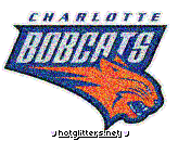 Charlotte Bobcats picture