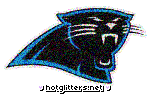 Carolina Panthers picture