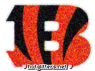 Cincinnati Bengals
