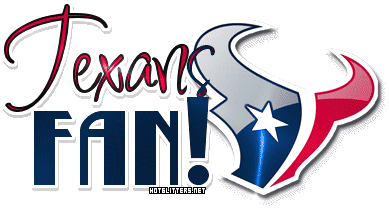 Houstan Texans Fan picture