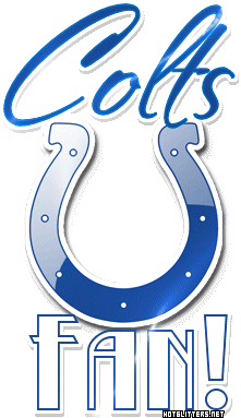 Indianapolis Colts Fan picture