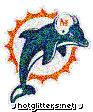Miami Dolphins picture