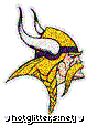 Minnesota Vikings