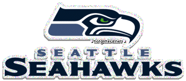 Seattle Seahawks picture