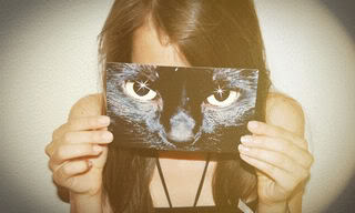 Cateyespic