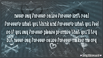 Never Say Forever picture