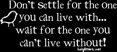 Dont Settle picture