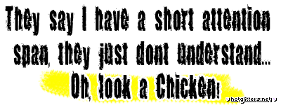 Shot Attention Look Chicken picture