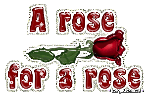 A Rose Is A Rose picture