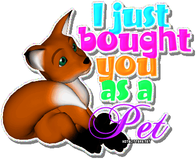 Bought You As A Pet