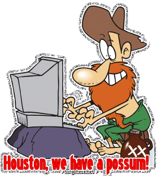 Possum