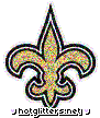 New Orleans Saints picture